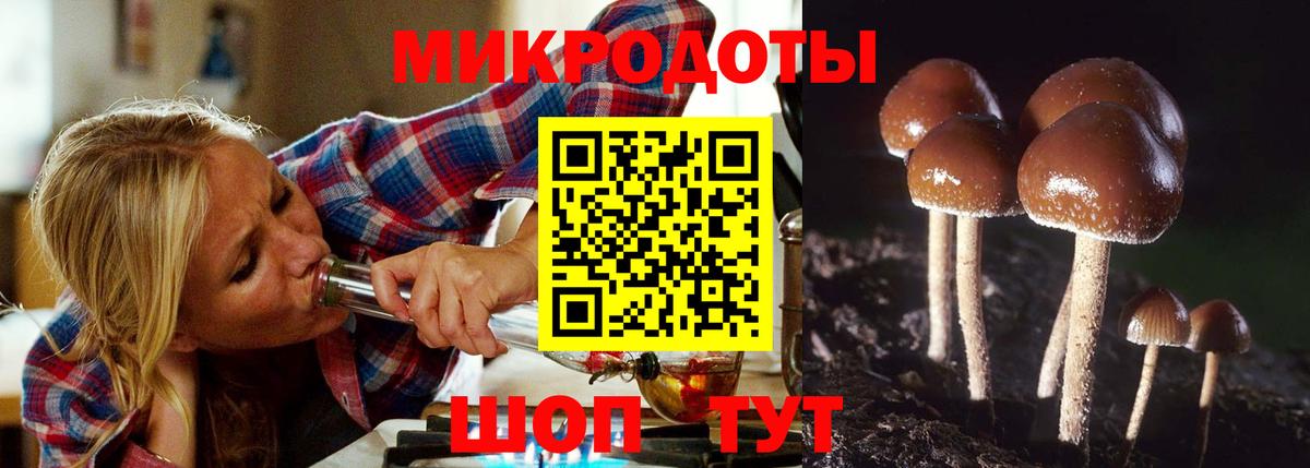 Галлюциногенные грибы Cubensis  Вход с VPN  Свободный 